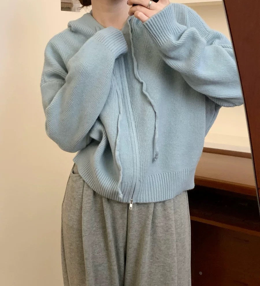 ARLENE™ – Cozy Long Sleeve Hooded Cardigan